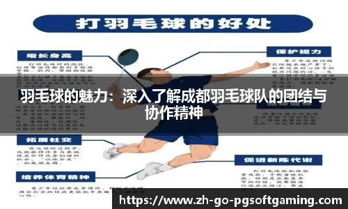 羽毛球的魅力:深入了解成都羽毛球队的团结与协作精神