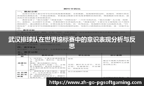 武汉排球队在世界锦标赛中的意识表现分析与反思